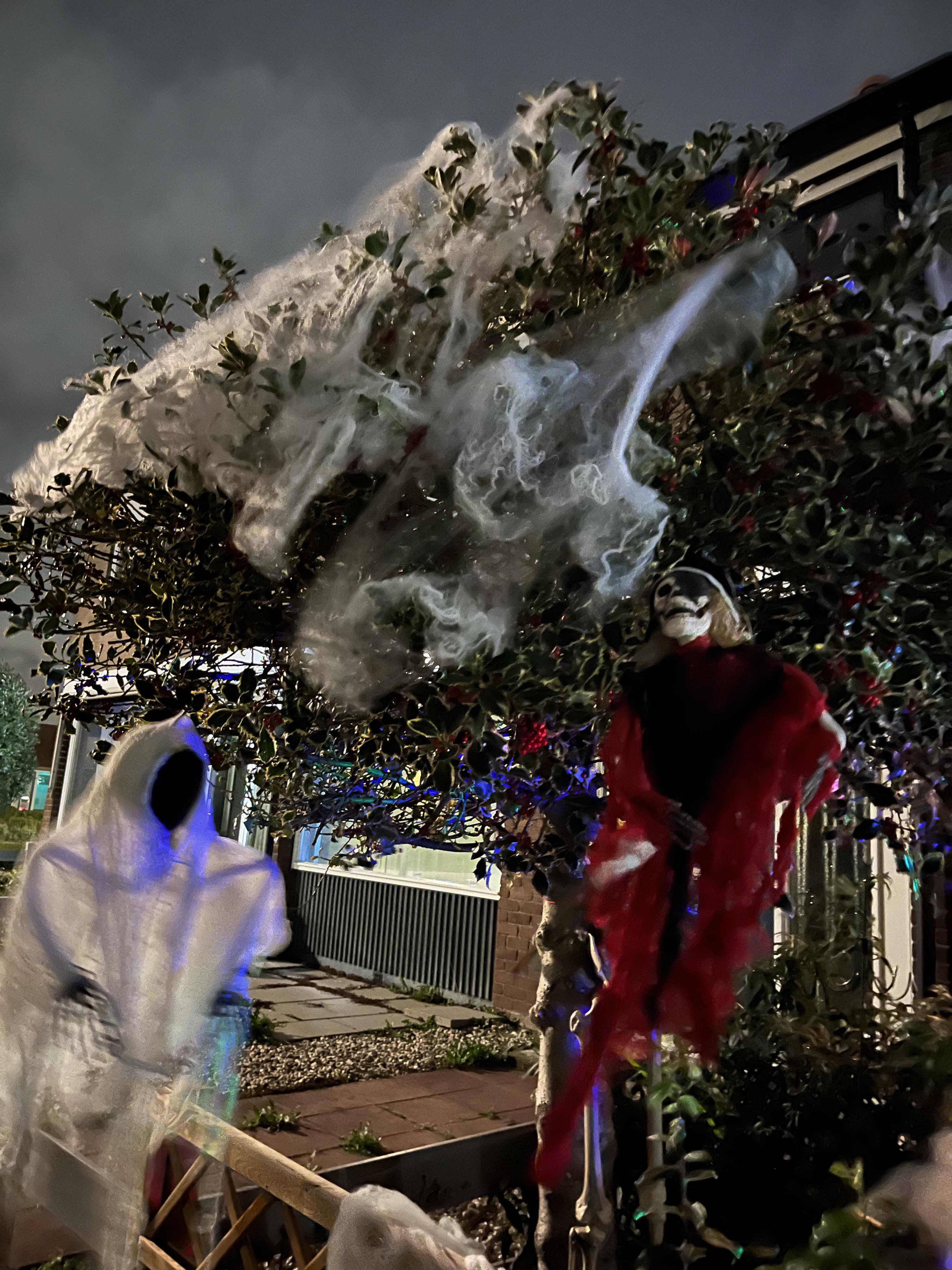 Halloween foto